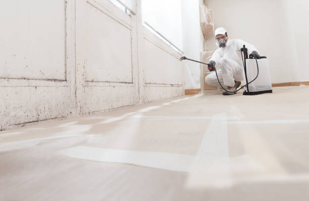 24/7 Emergency Mold Remediation experts in Lockport, NY